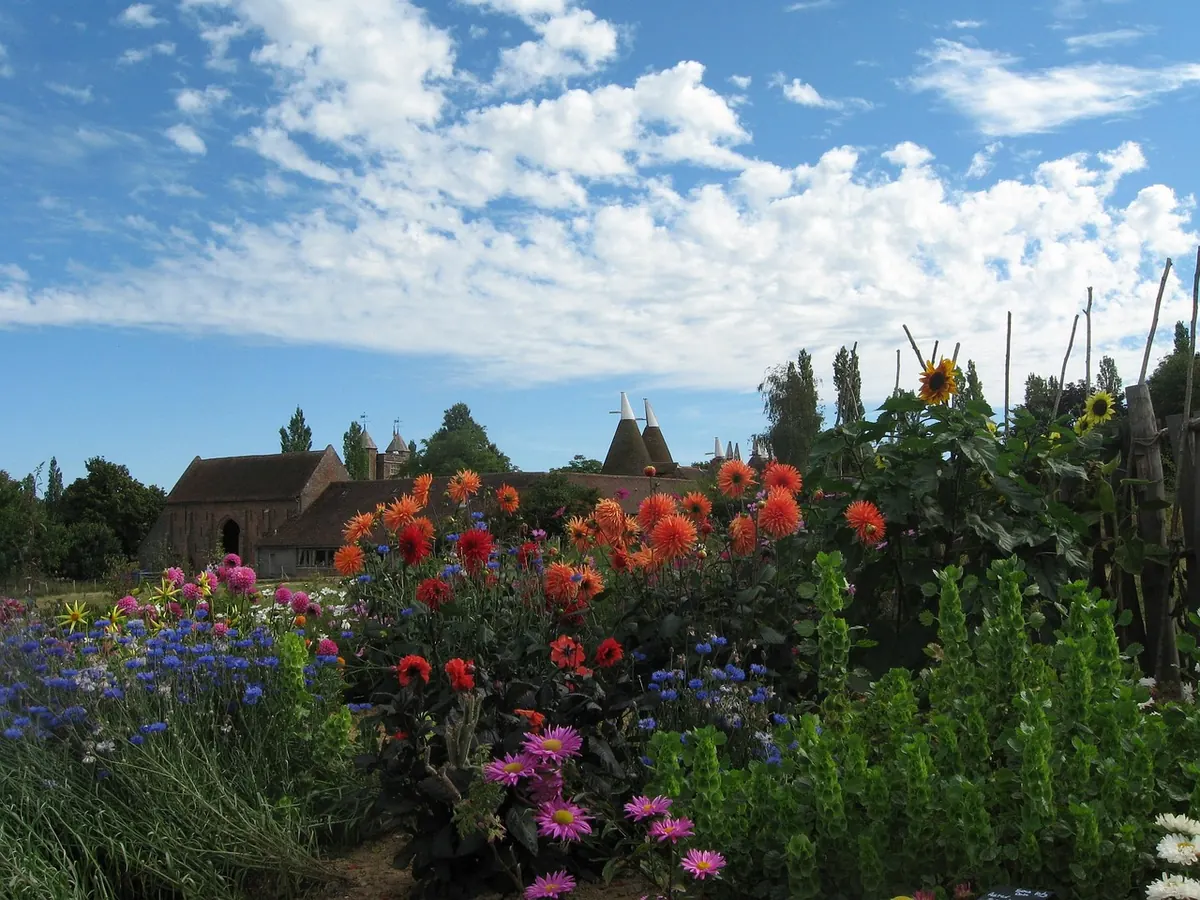 Oast Houses Explained: Why Kent's Countryside Is Full of Cone-Topped Barns